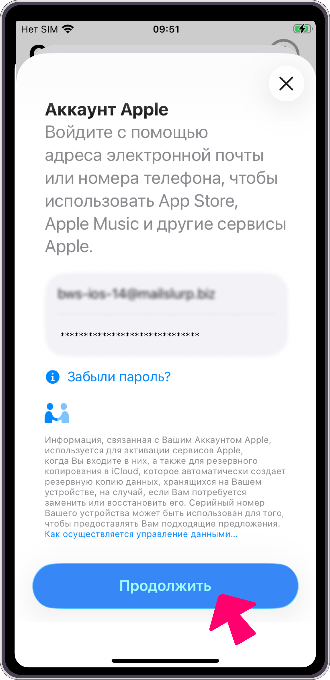 Ввод данных аккаунта